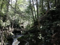 Poconos-July-2015-27931