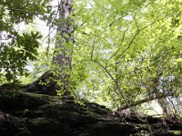 Poconos-July-2015-27949