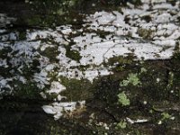 Poconos-July-2015-27955