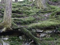 Poconos-July-2015-28011
