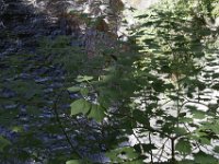 Poconos-July-2015-28047
