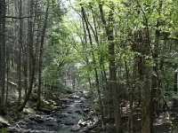 Poconos-July-2015-28104