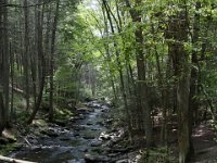 Poconos-July-2015-28106