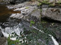 Poconos-July-2015-28125