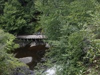 Poconos-July-2015-28129