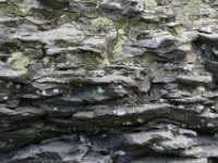 Poconos-July-2015-28133