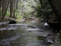 Poconos-July-2015-28172