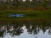 08-11-15-Alligator River-28910