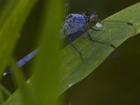 08-11-15-Alligator River-29012