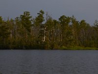 08-11-15-Alligator River-29097
