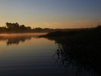 08-13-15-Alligator River-29347
