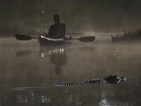 08-13-15-Alligator River-29492