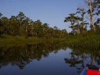 08-13-15-Alligator River-29630