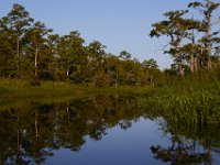 08-13-15-Alligator River-29632