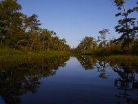 08-13-15-Alligator River-29662