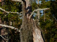 08-14-15-Crooked Creek-NC-29987