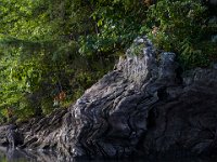 08-23-15-Rocky Gorge-20769