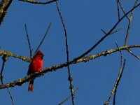 10-11-15-Piscataway-24348