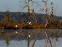 10-11-15-Piscataway-24470