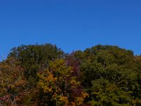 10-12-15-Mattawoman-25846
