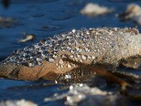 10-16-15-Mattaponi-26125