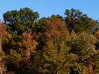 10-19-15-Nanjemoy-26776