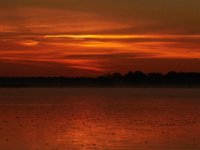 11-15-15-Nanjemoy