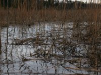 03-12-16-Nanjemoy-20649