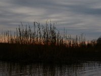 03-12-16-Nanjemoy-20652