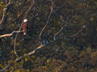 04-17-16-Mattawoman Creek-21246