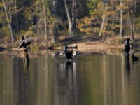 04-17-16-Mattawoman Creek-21607