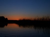 04-24-16-Nanjemoy-21781