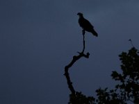 05-07-16-Piscataway-22292