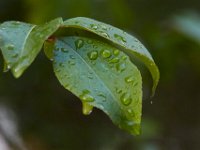 05-07-16-Piscataway-22427