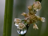 05-07-16-Piscataway-22578