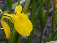 05-07-16-Piscataway-22730