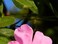 06-19-16-Piscataway-25025