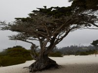 06-30-16-California-27547