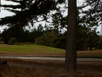 07-01-16-California-28704