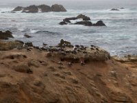 07-01-16-California-28857
