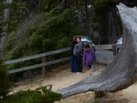 07-01-16-California-29092