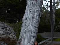 07-01-16-California-29097