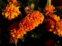 07-02-16-California-29398