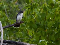 06-24-16-Selbys Landing-Mattaponi