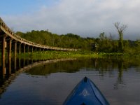 06-24-16-Selbys Landing-25392 1