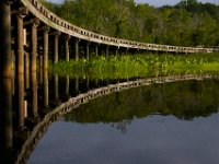 06-24-16-Selbys Landing-25406
