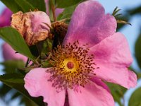 06-24-16-Selbys Landing-25427