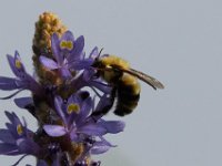 06-24-16-Selbys Landing-25545
