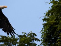 06-24-16-Selbys Landing-25637