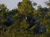 06-26-16-Rt 4-Hills Bridge-26415